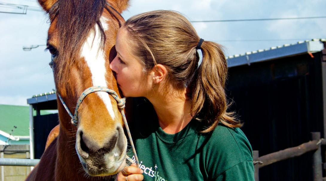 Volunteer with Animals Abroad Projects Abroad